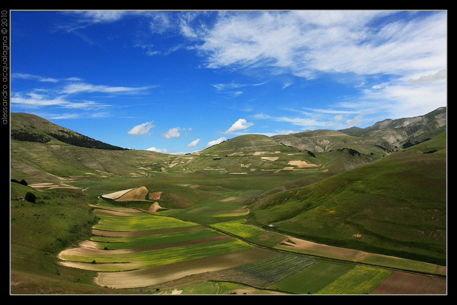 Metti un venerd� a Castelluccio...
