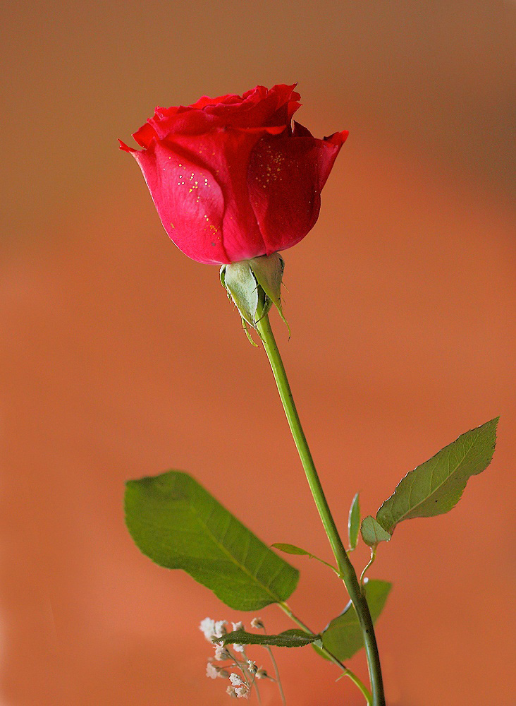 ...Ne Approfitto....!!!