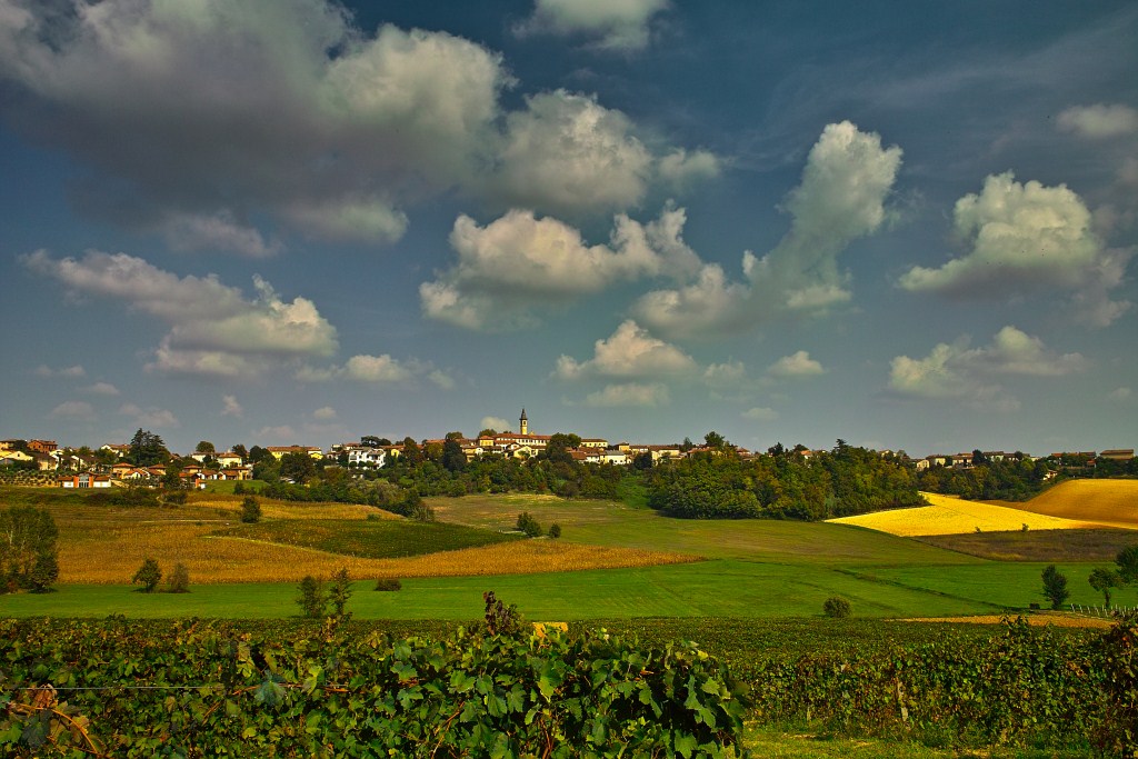 Paesaggio Collinare
