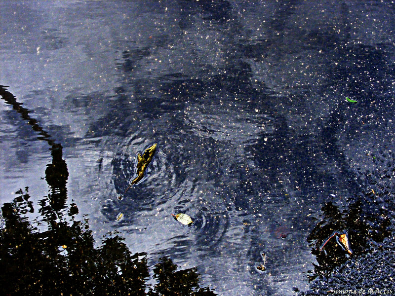 il cielo in una pozza