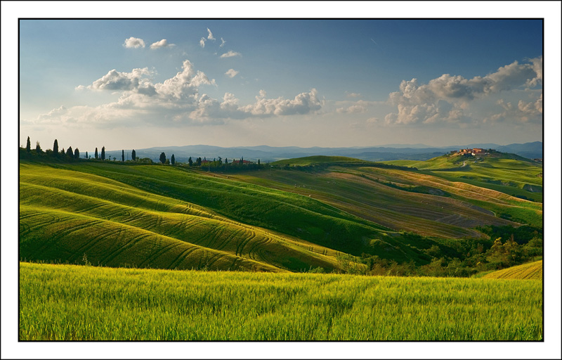 Colli senesi