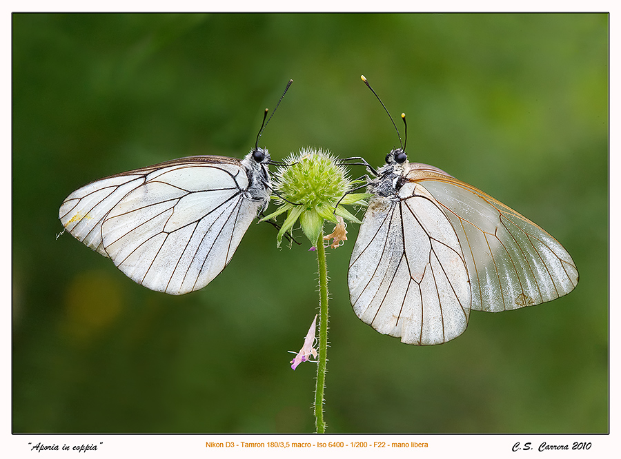 Coppia ... col vento!!!