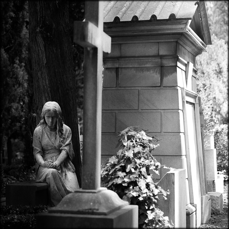 nella terra di coloro che mormorano