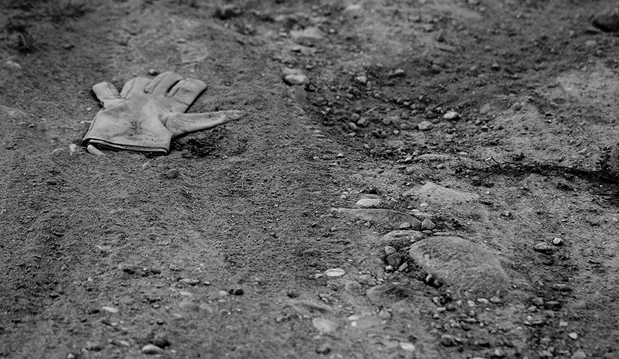 QuotidianeLandeDesolate