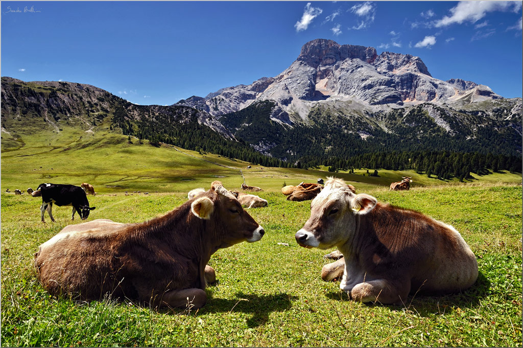 Modelle a Prato Piazza