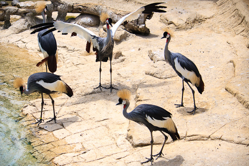 Ehi, sto parlando con voi...