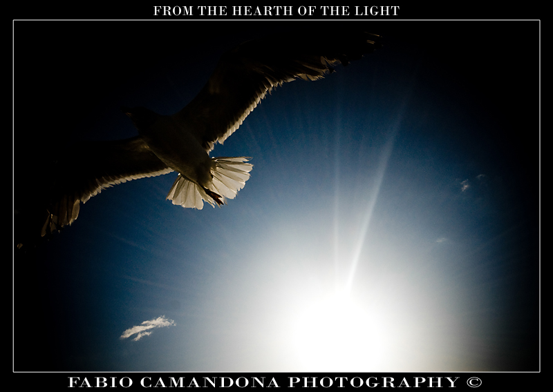 from the hearth of the light