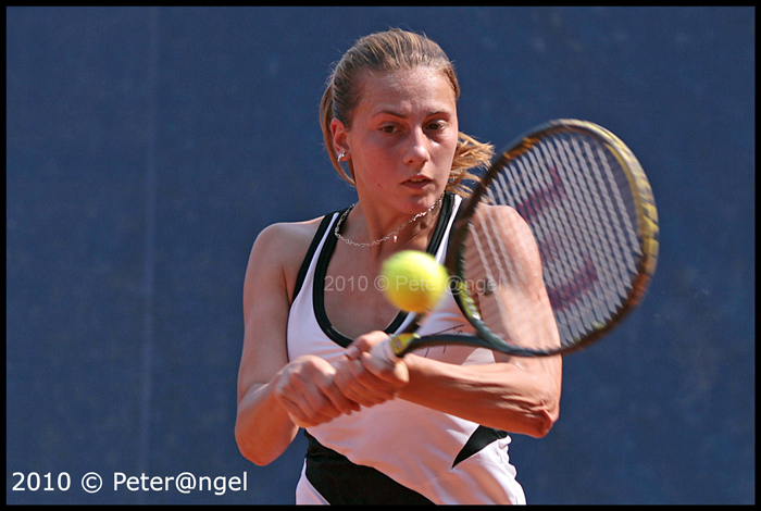 Camelia-Elena HRISTEA