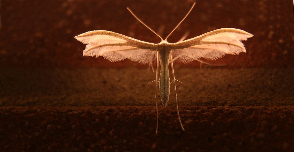 Non s� che �.....