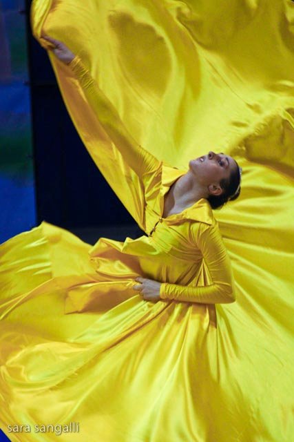 Golden Butterfly Gala