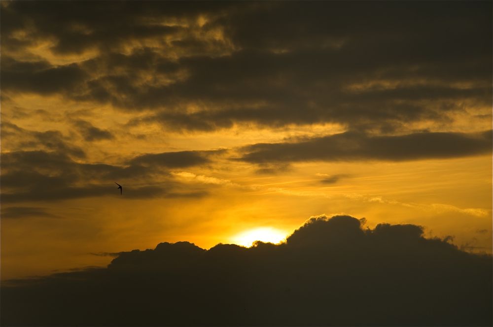 Tramonto dalla terrazza