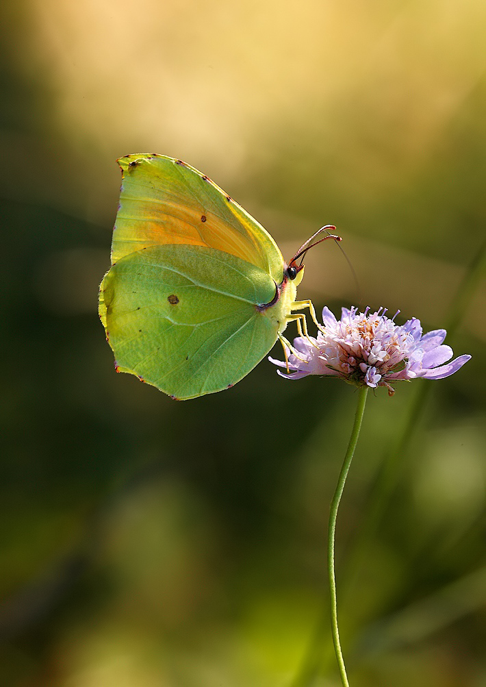 ...Bella E Tenebrosa...!!!