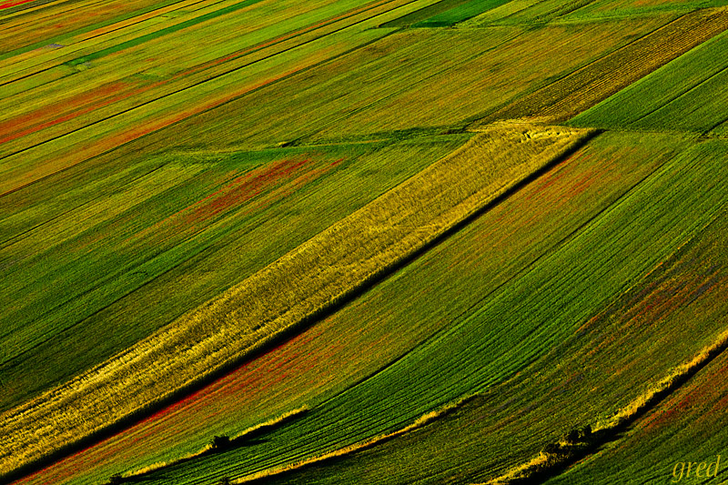 Le mille texture di Castelluccio