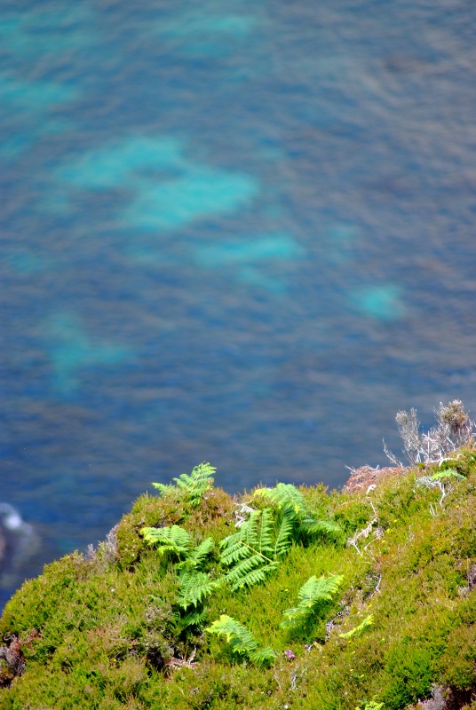 Irlanda , la verde isola