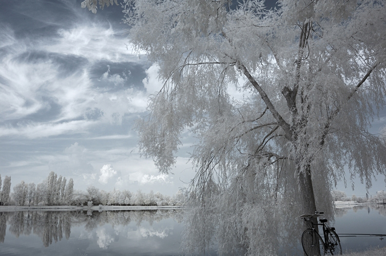 Parco S. Lorenzo IR4