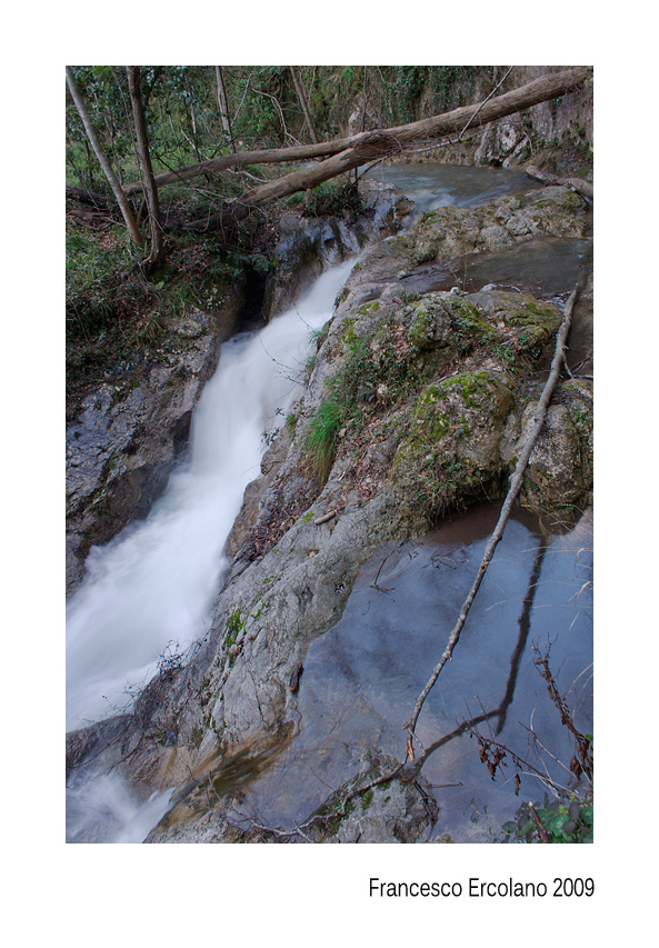 Panta Rei (data post originale 28 giugno 2009)