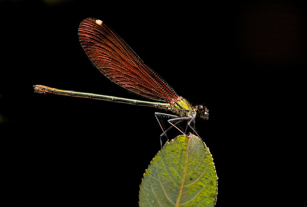 ...Con Il Sole In Fronte...!!!