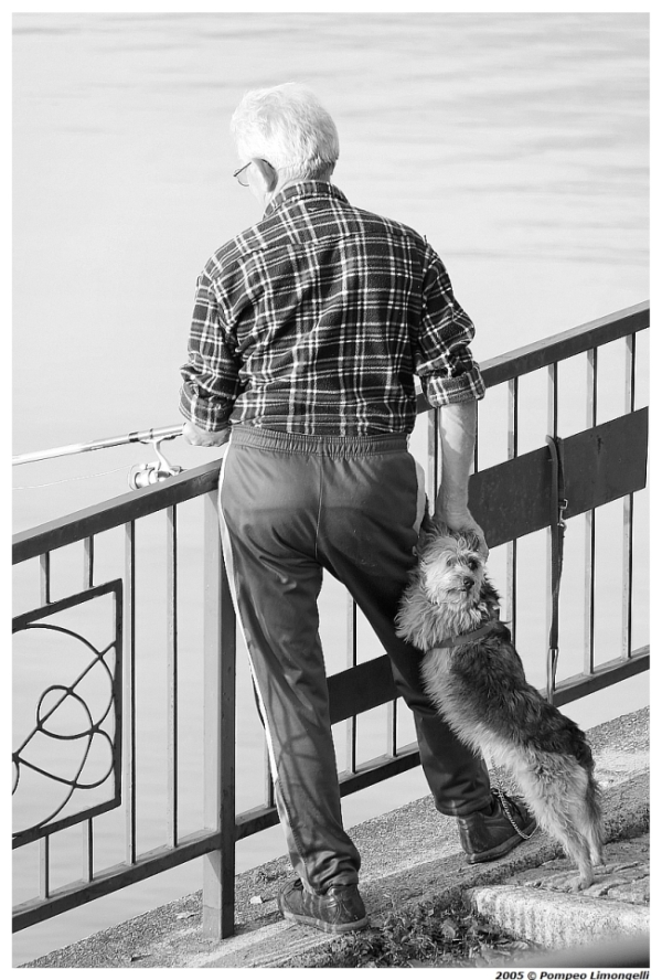 Il compagno dell'uomo