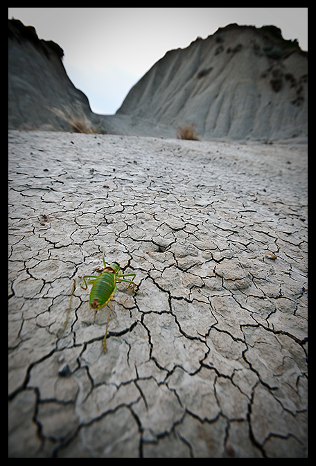 presenza sui calanchi