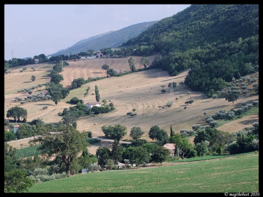 campagna marchigiana