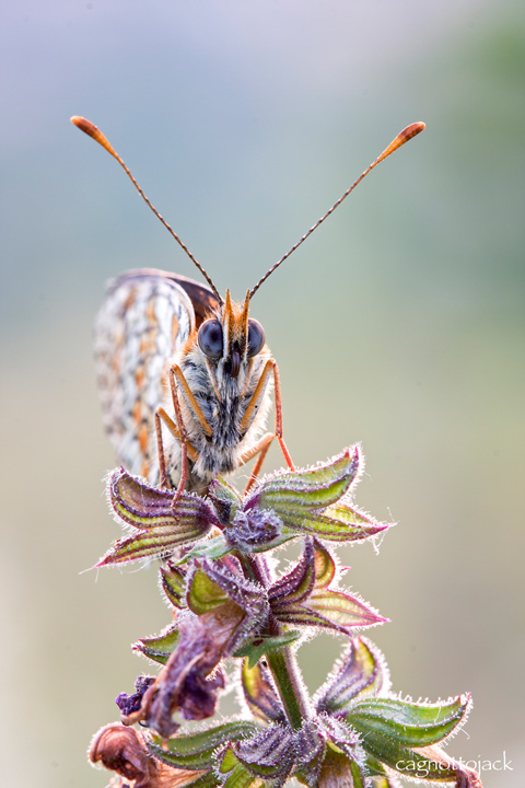 Guardami negli occhi