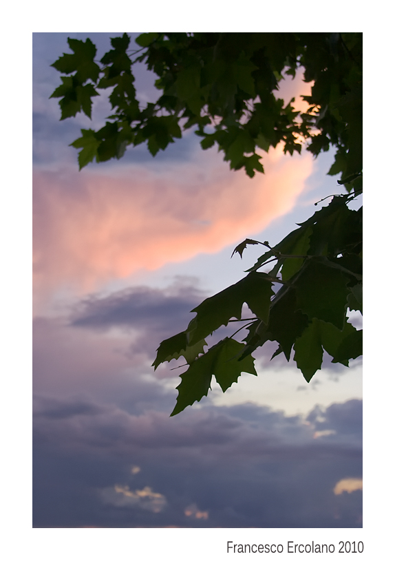 L'abbraccio della Sera