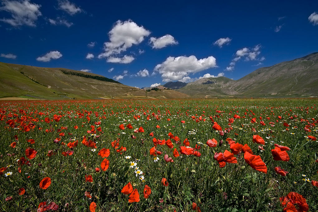 CASTELLUCCIO 1