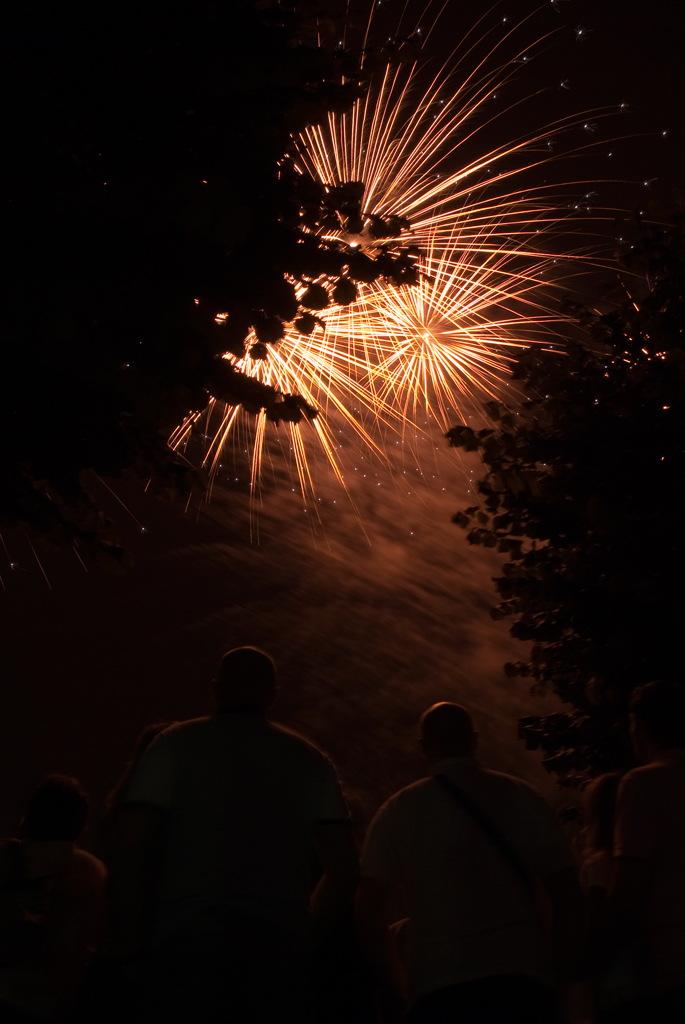 Fuochi dietro gli alberi
