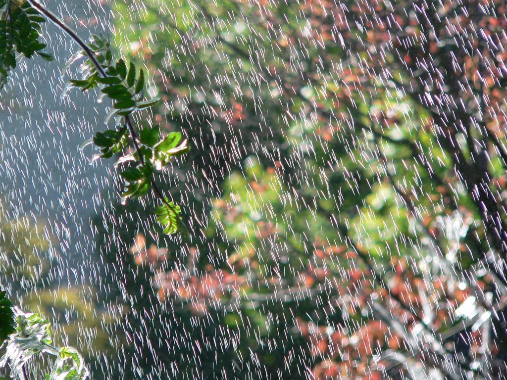 Ultima gelata di primavera