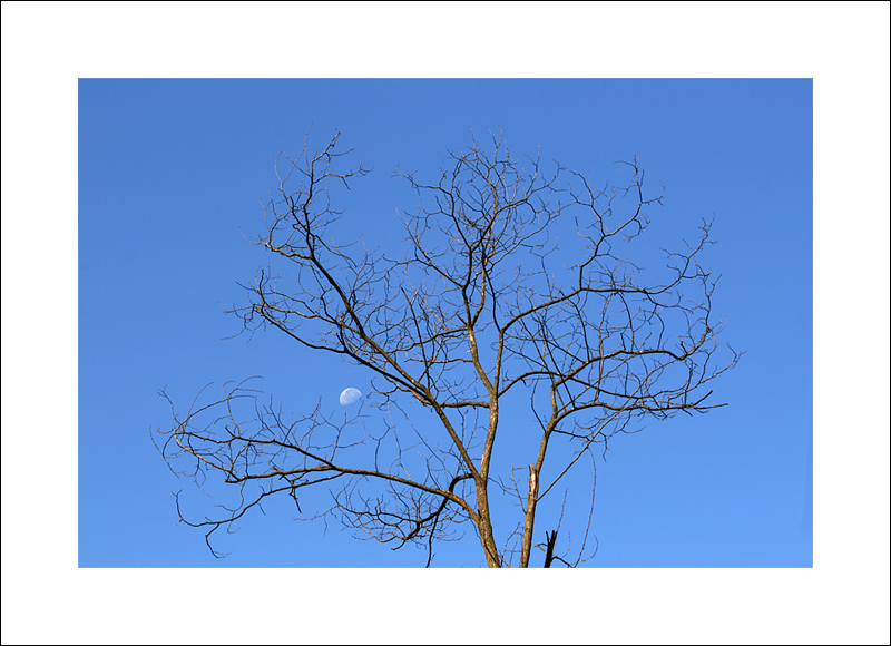 il mio posto e' la'...