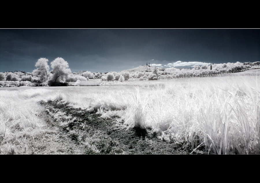 Landscape ir