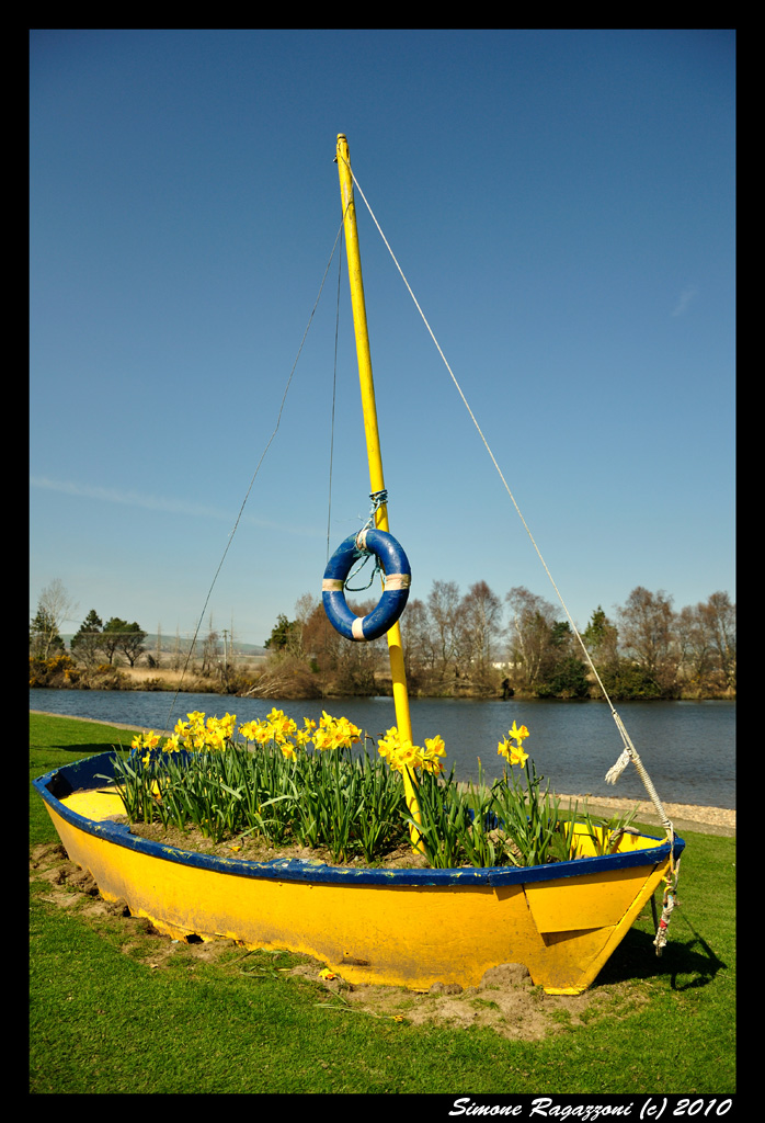 Flower's boat