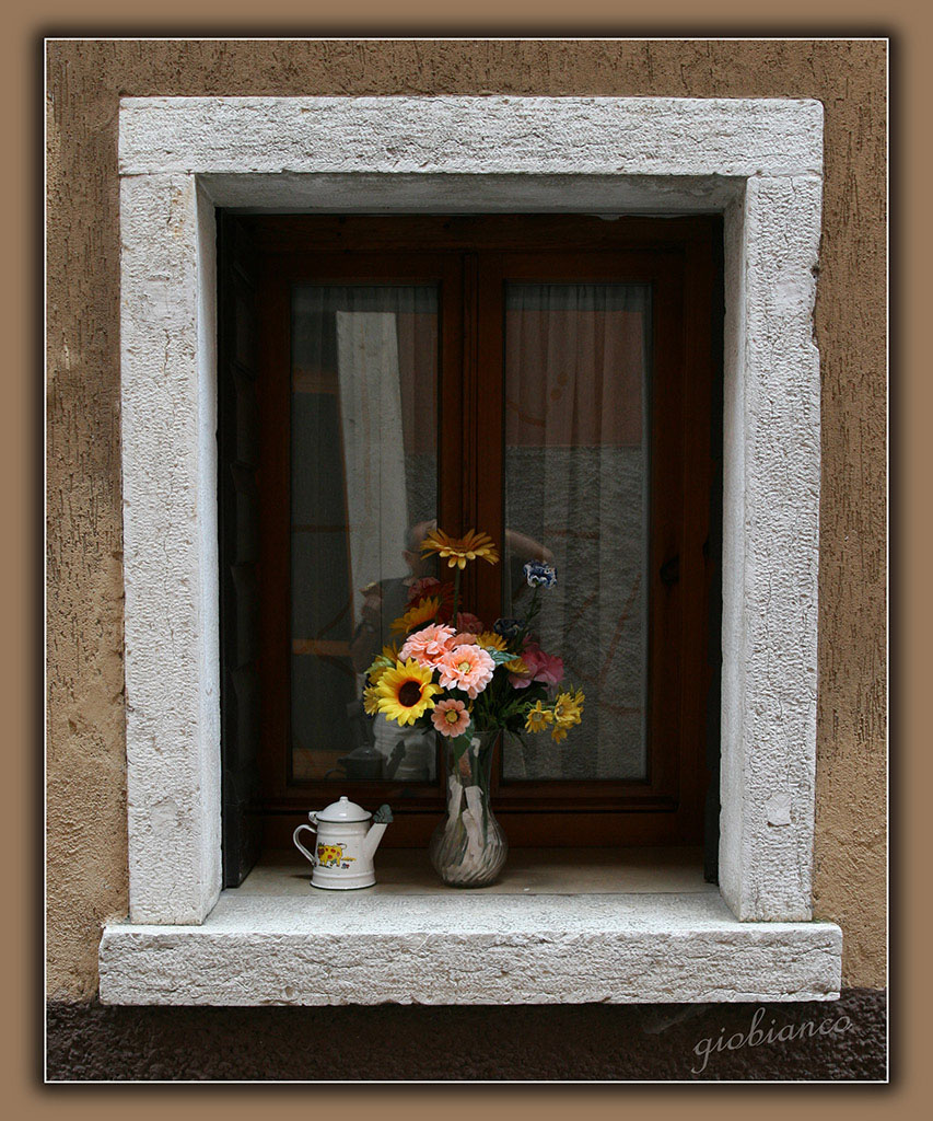 fior...finestra