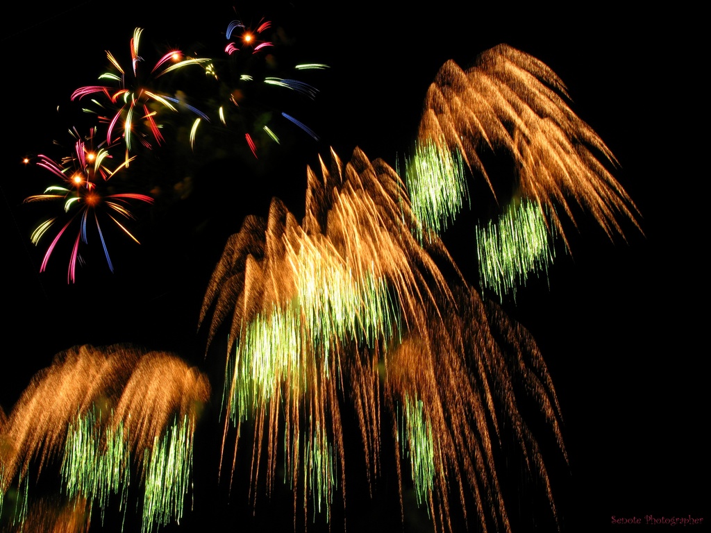 Fuochi Pirotecnici 2010