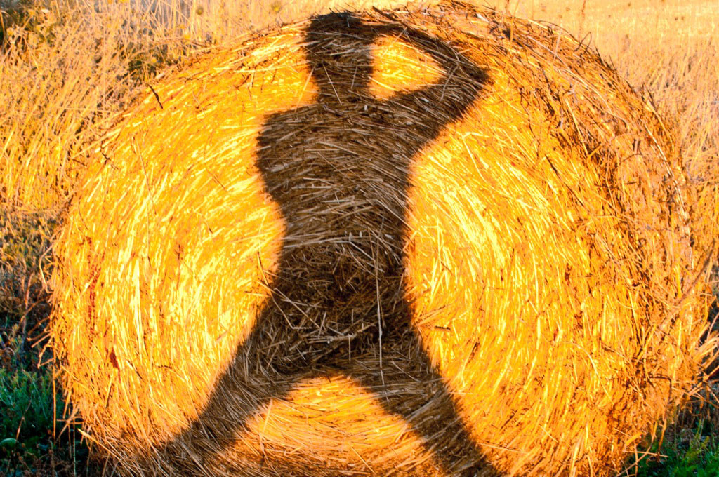 Sunny Self Portrait n�2