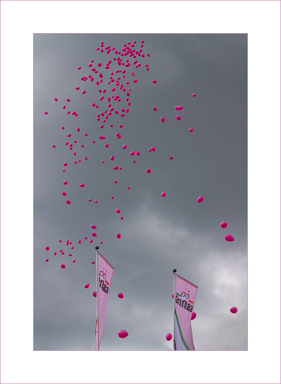 La vie en rose(un vociare silenzioso)