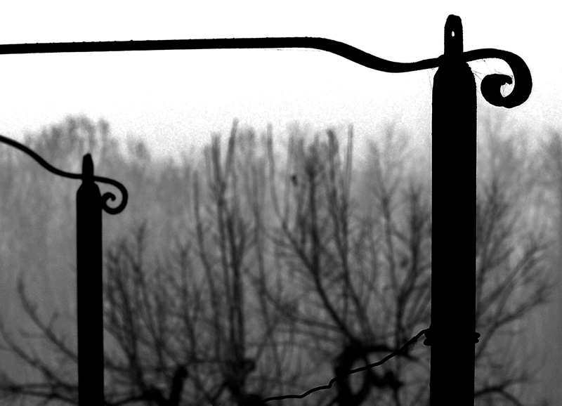 Grafismo in giardino