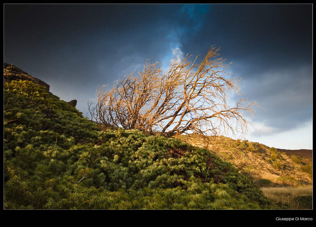 L'ultimo raggio di sole