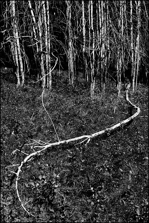 Jouvenceaux (TO) - 08-08-10