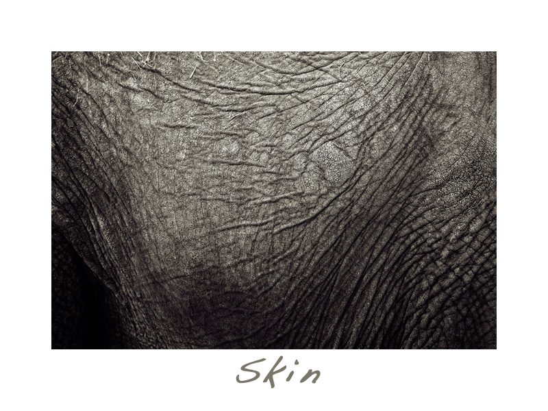 Skin