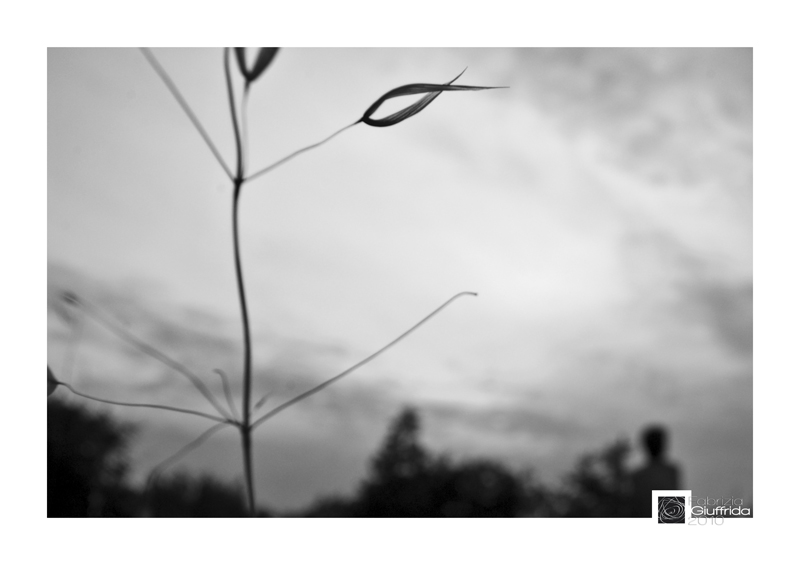 Libero di stare in cielo