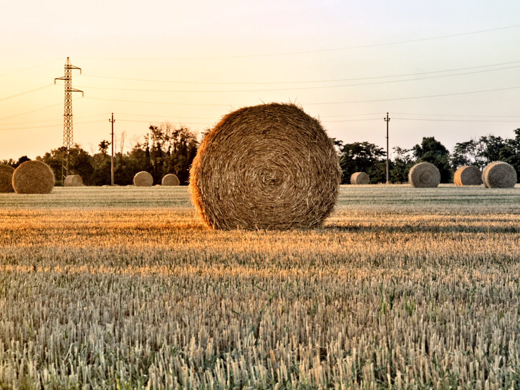 un soggetto un p� ovvio