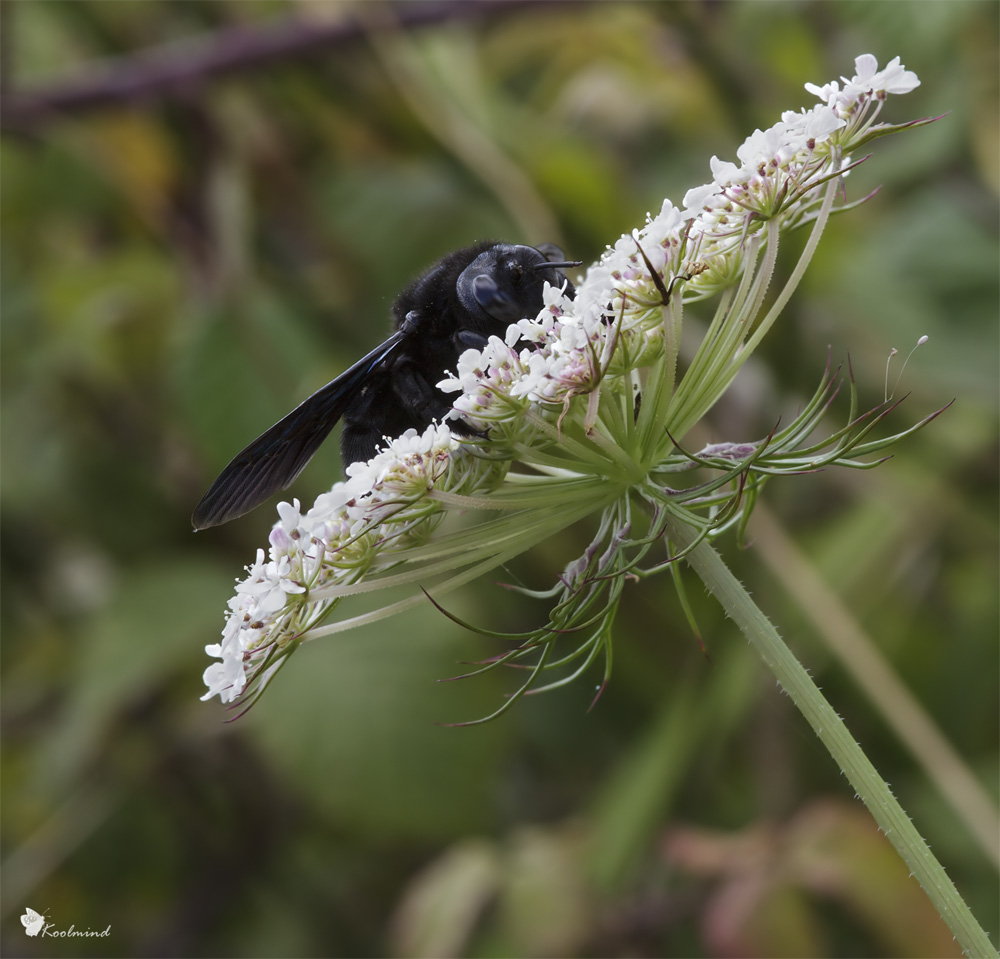Un pisolino... poi riparto.
