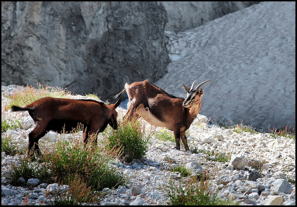 Spuntino in alta quota