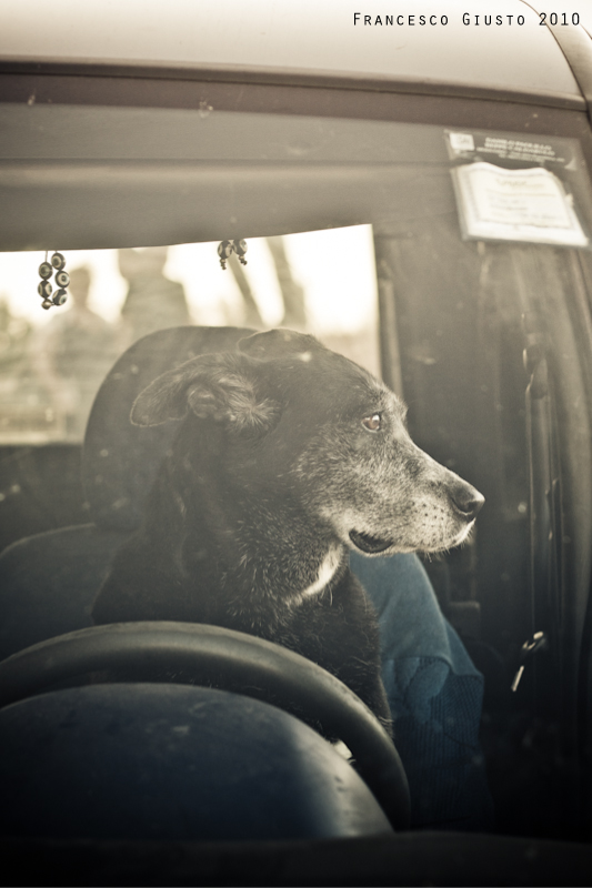 Not my usual chaffeur