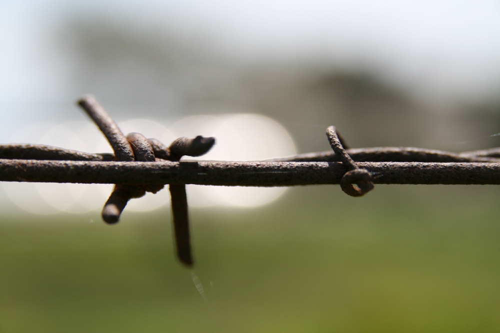 I Colori della Libert�