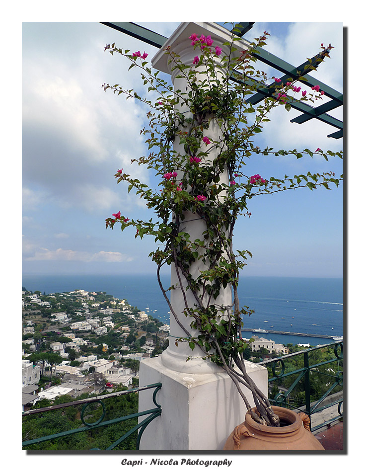 Un balcone su Capri