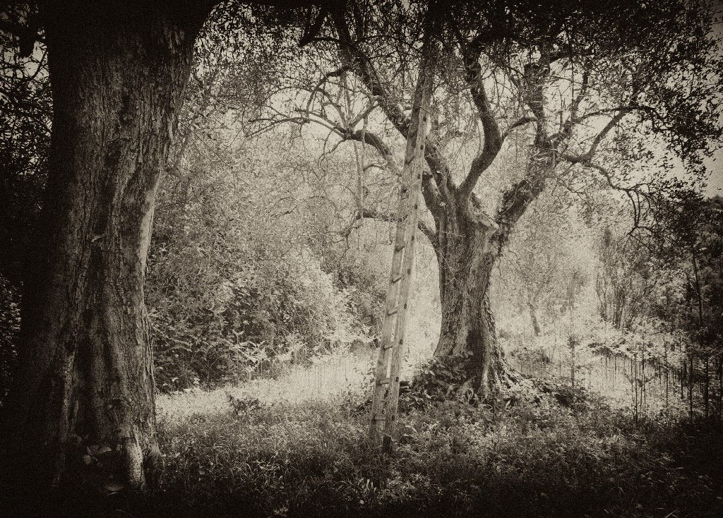 come raggiungere la pace???