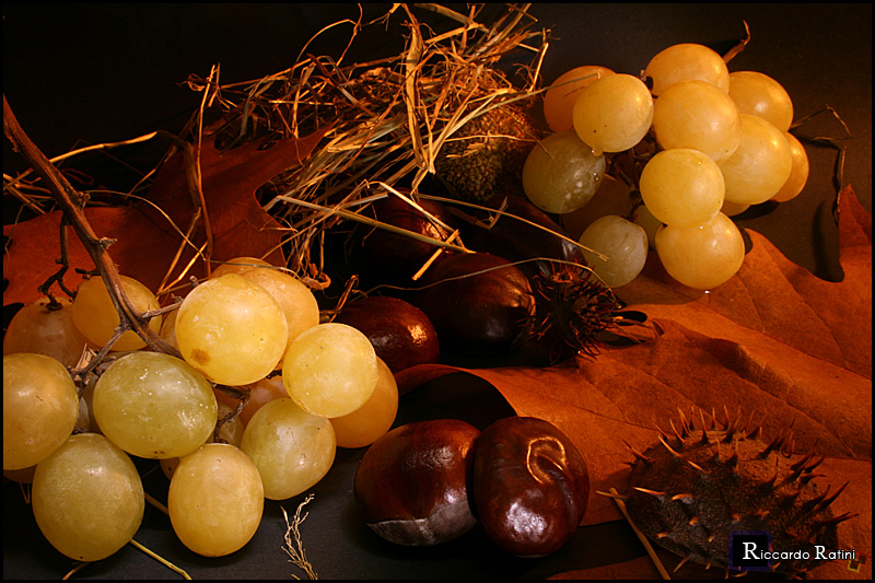 Composizione d'autunno #1