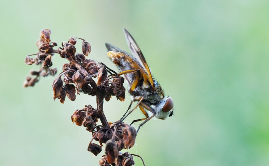 mi butto o non mi butto...